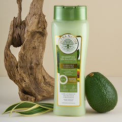 Shampoo sin Sulfatos Shampoo sin Sulfatos