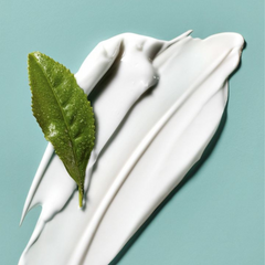 Crema para peinar nutritiva con termoprotección Crema para peinar nutritiva con termoprotección